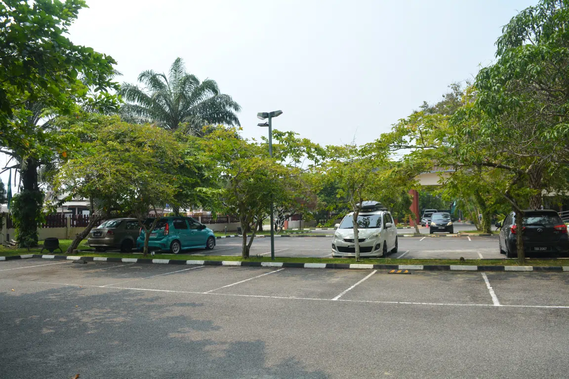 services image